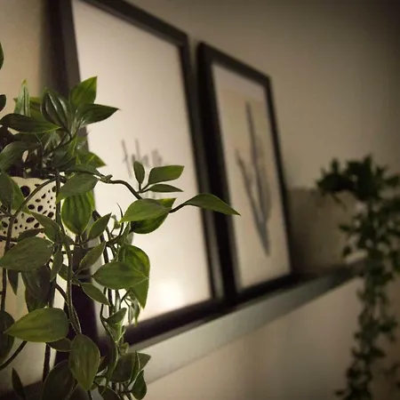 Toni Appartement *